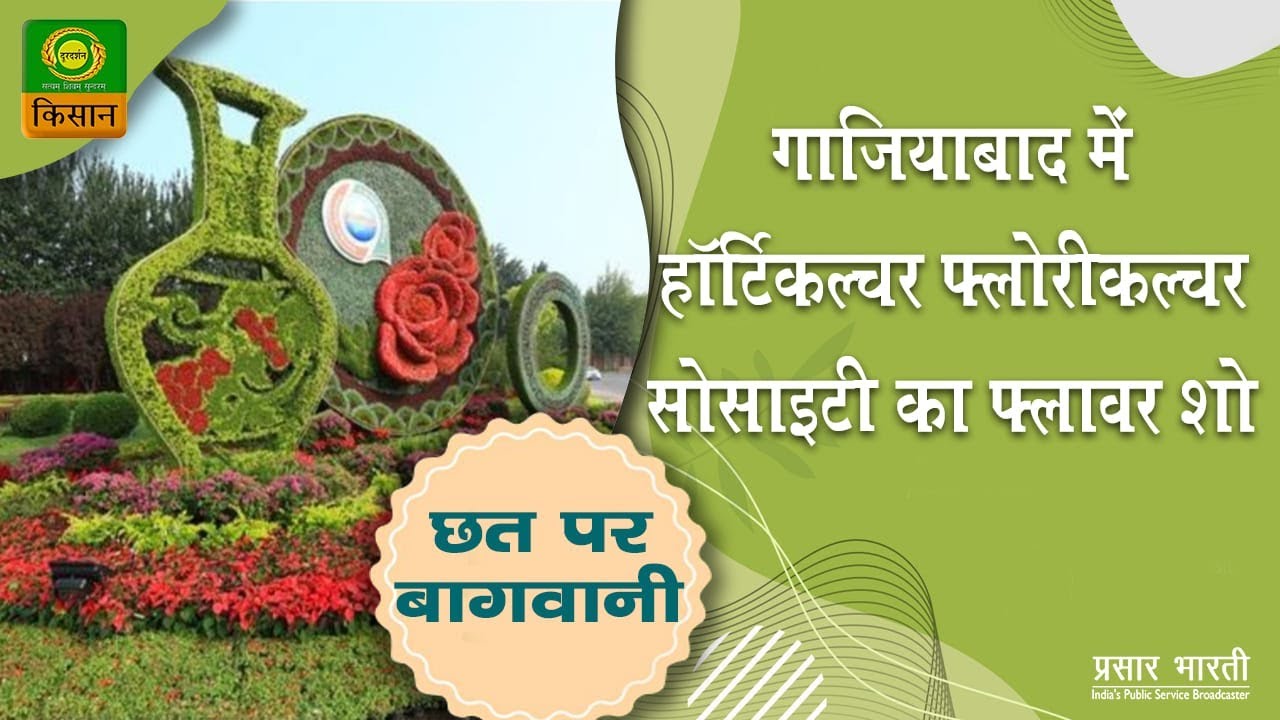 Chhat par bagwani : Gaziabad Horticulture and Floriculture Society flower show