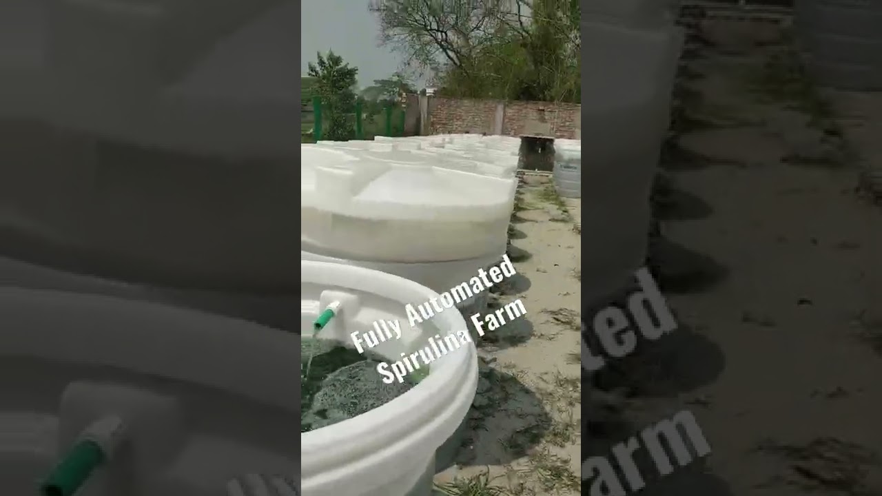 Fully Automated Spirulina Farm