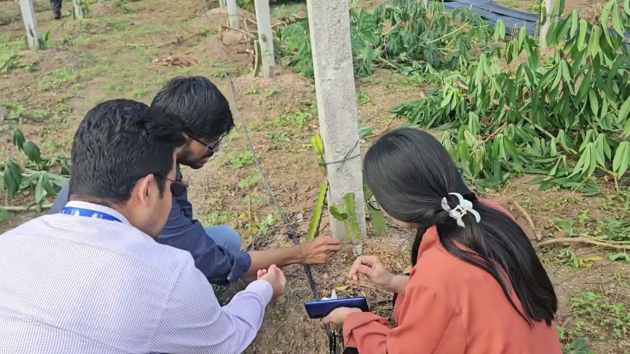 Initiative