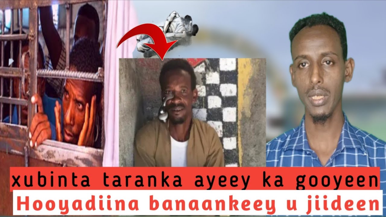 QISO JEEL OGAADEEN ILMADII AYAA ISU BEDESGEY DHIIG, ALLE AYAA NOOLEEYEY.