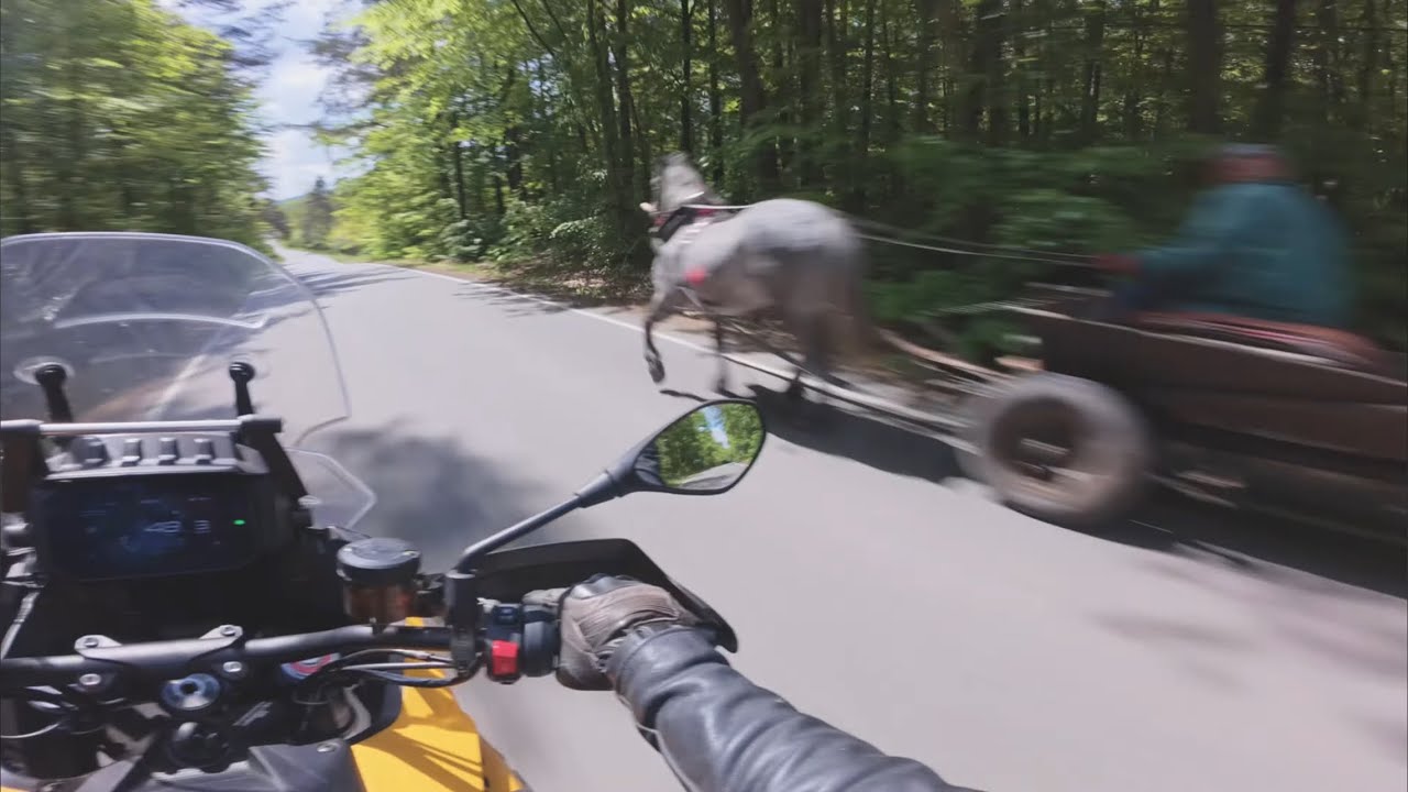 Moto guzzi stelvio sound