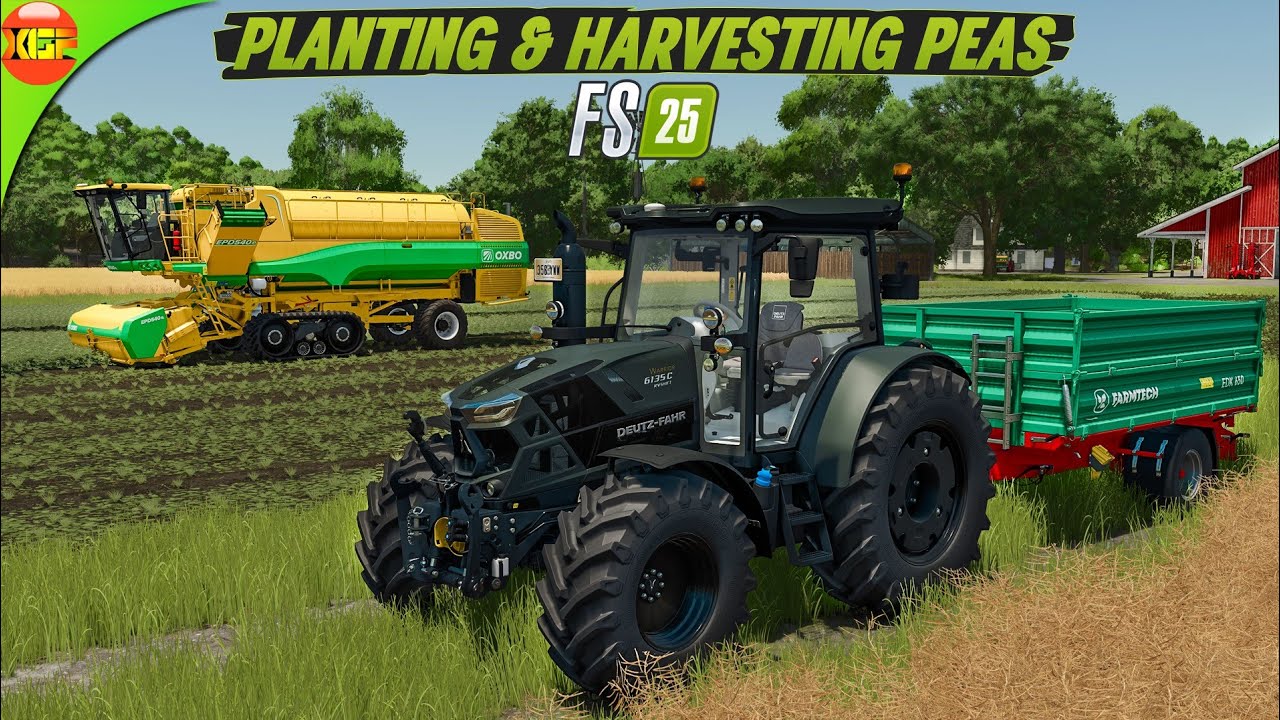 New Crop PEA🫛 Planting and Harvesting | Farming Simulator 25