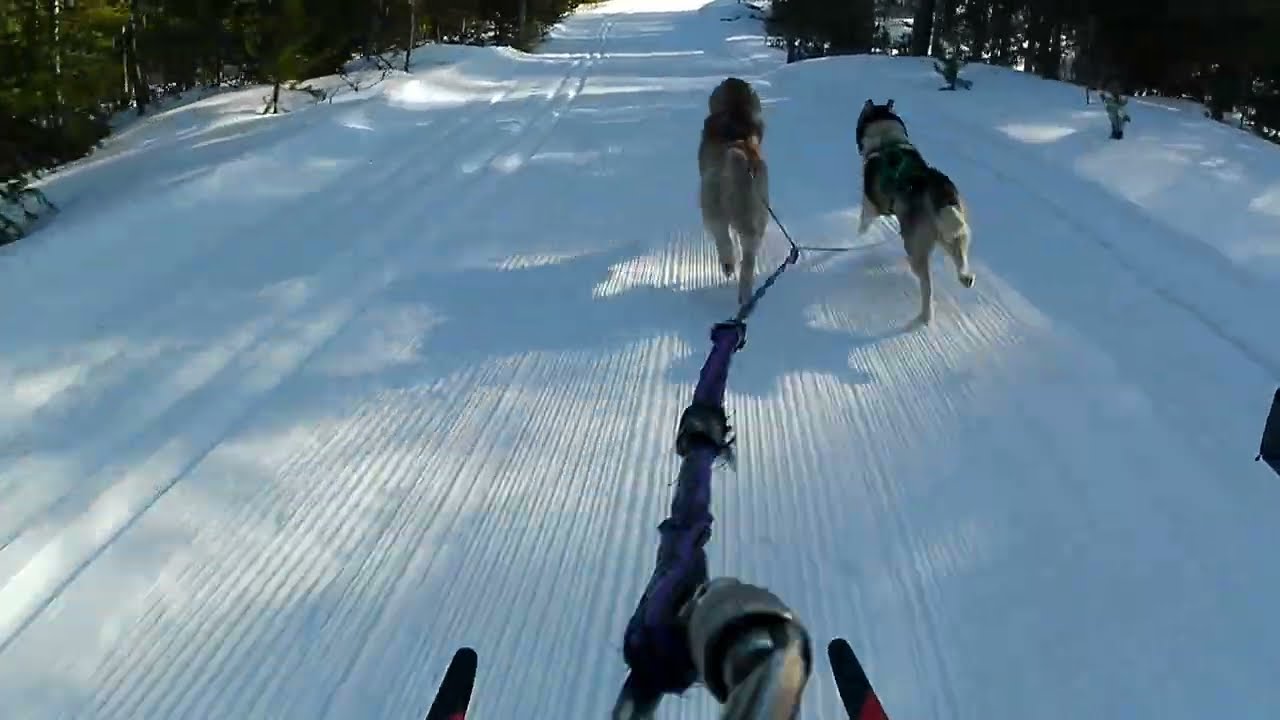 24 MPH Skijoring