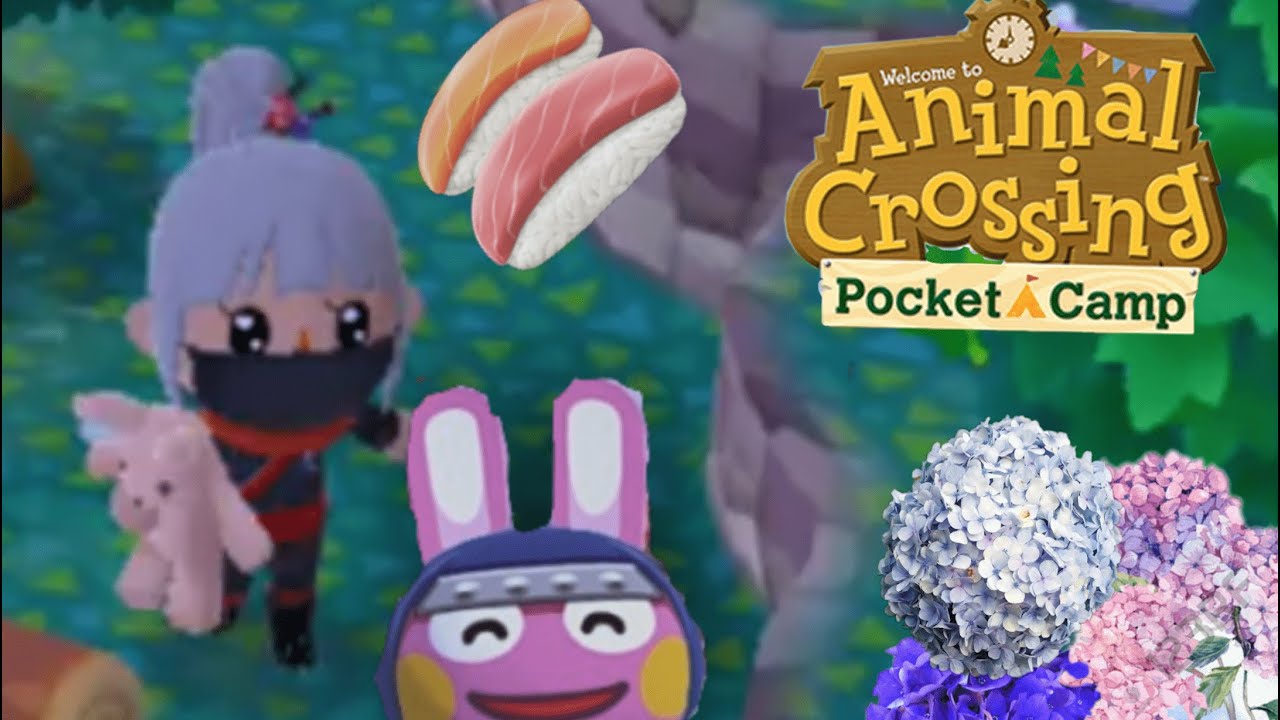 ACPC | Ninja. (May 2021)
