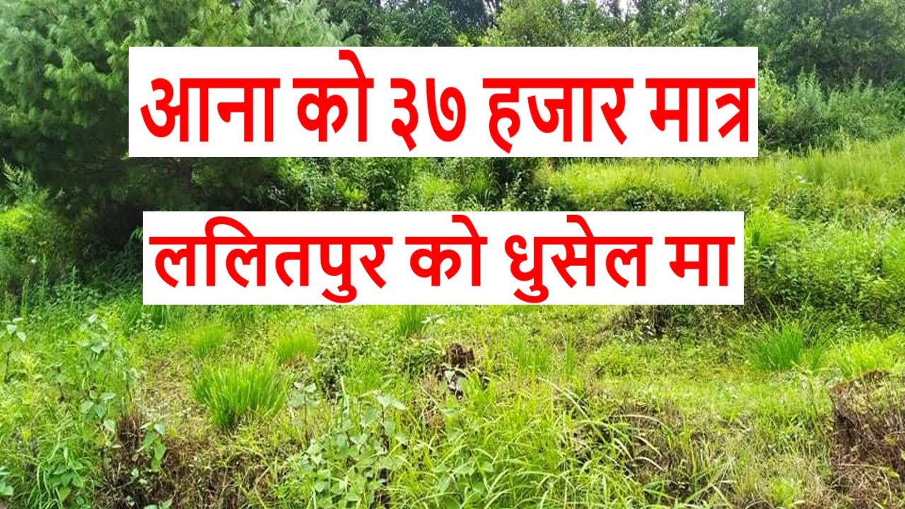 Land for sale in dhusel lalitpur | ghar jagga bank | real estate agent | jagga dalal | sasto jagga