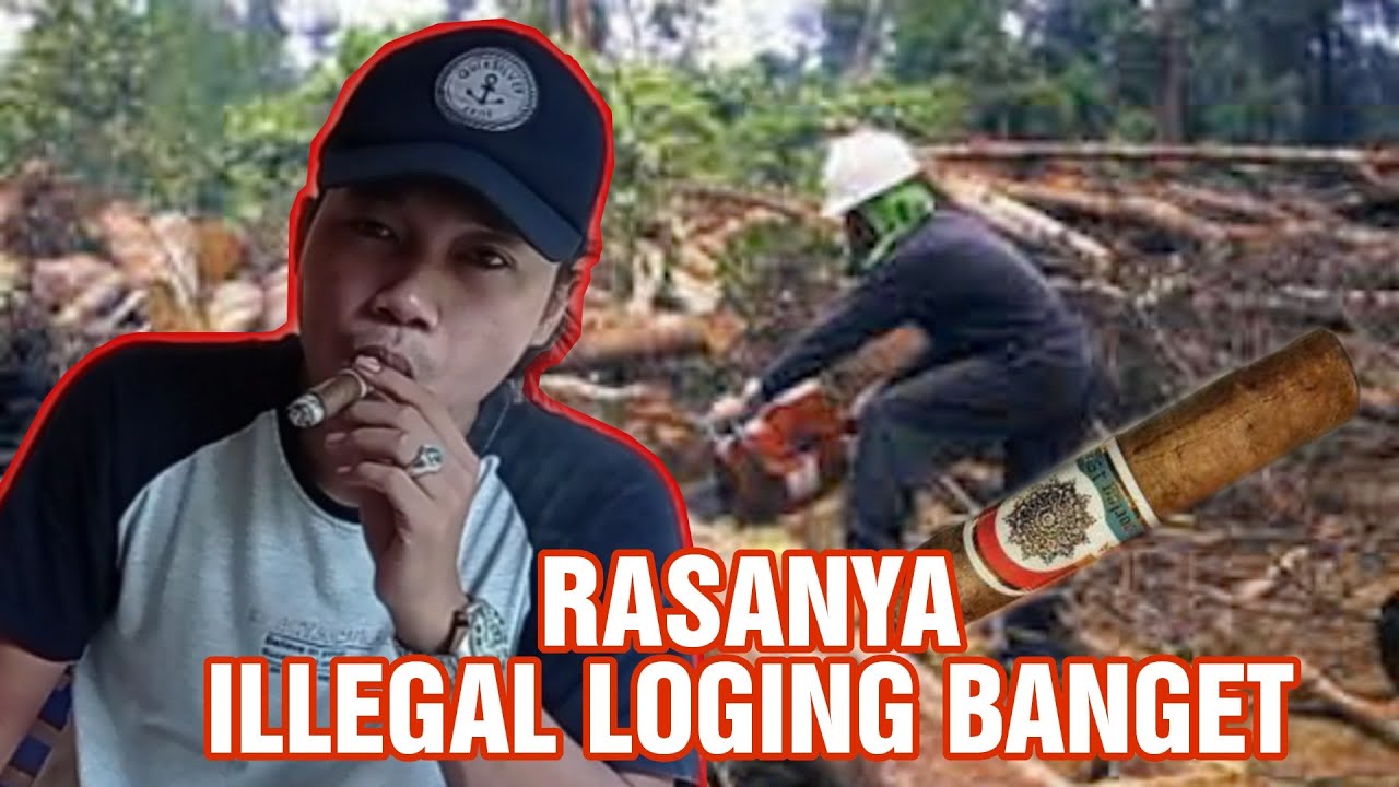 Review Cerutu Oorlog 1873