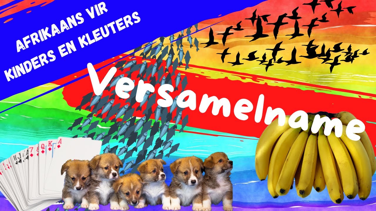 Afrikaanse Kinder Video - Versamelname