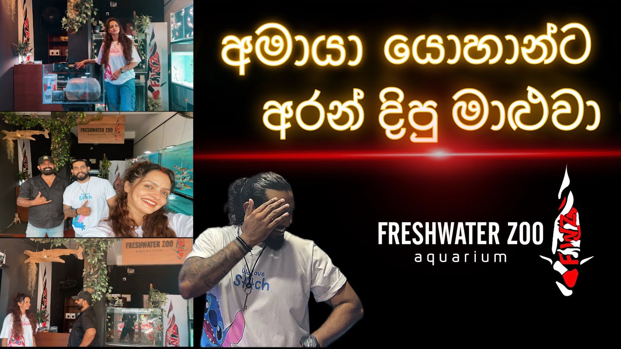 අමායා යොහාන්ට අරන් දිපු මාළුවා | @amayaadikari1989  |  