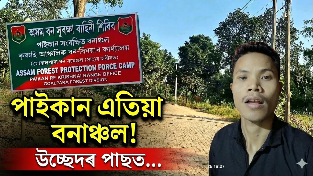 Paikan Eviction বৰ্তমান কেনে পৰিস্থিতি হৈ আছে চাওঁ আহঁক | Bidyapara_Ashudubi_Bedbari