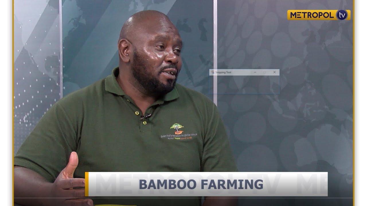 Victor Mwanga | Bamboo farming in Kenya