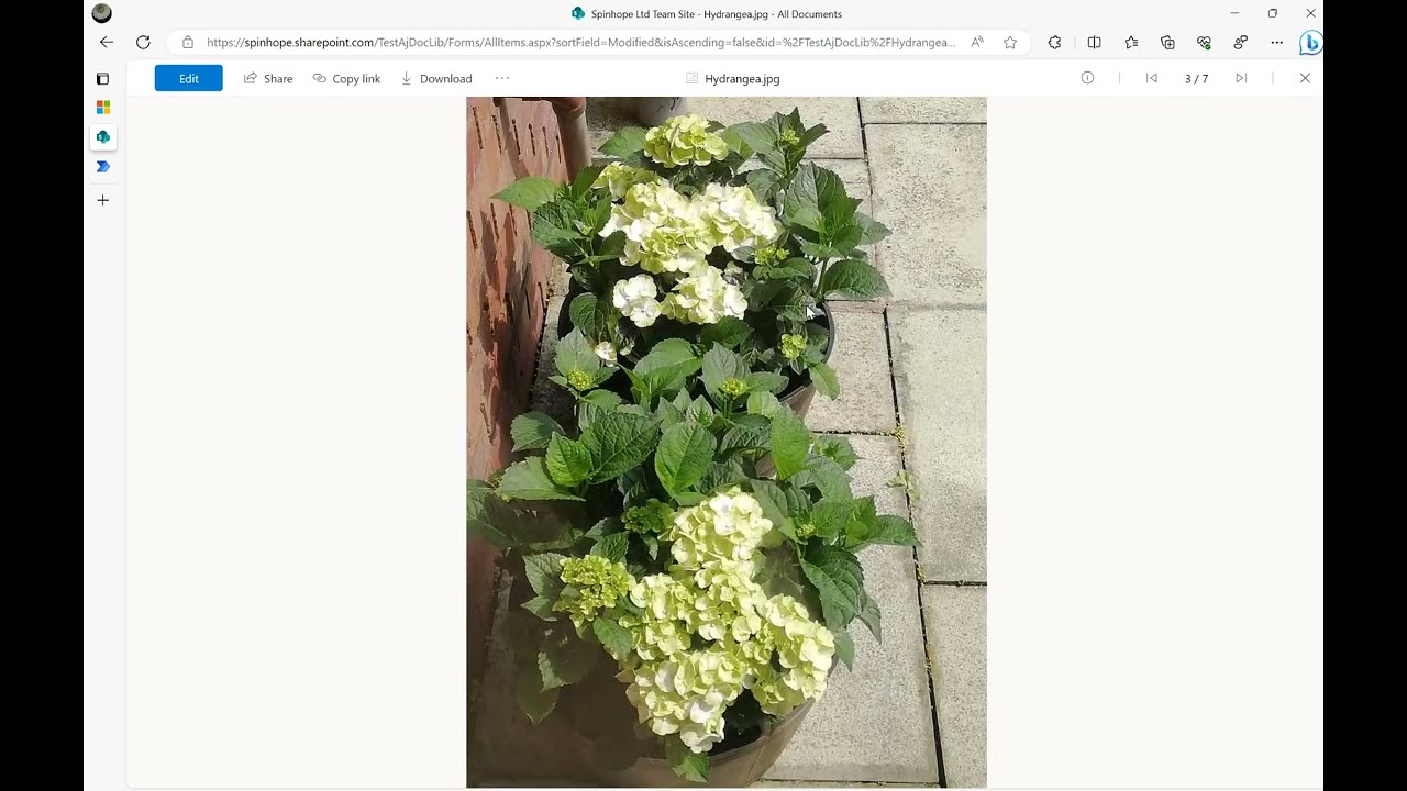 Power Automate - How to read SQL database images and upload images to SharePoint