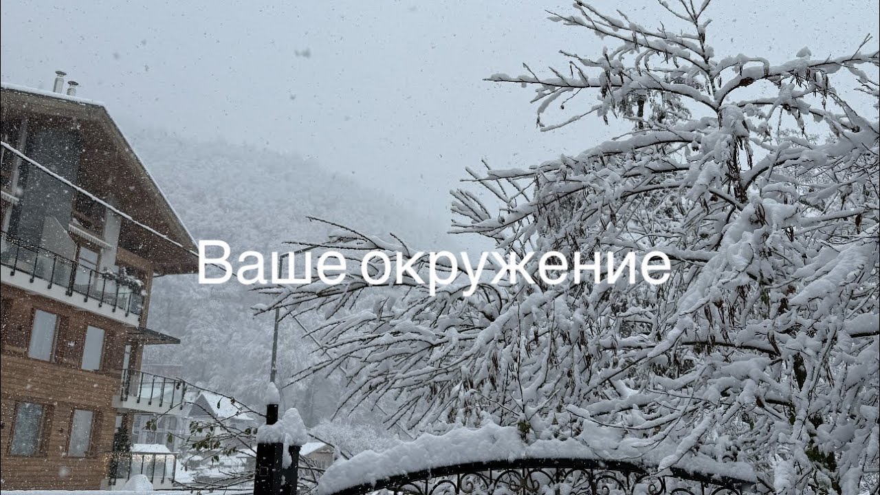 Ваше окружение 🤼☝️