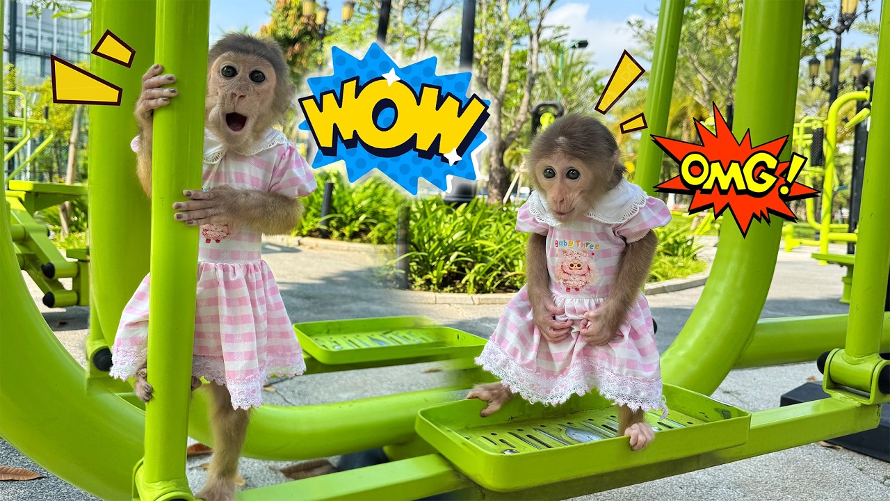 Lucky and Sunny have a surprising reaction when they arrive at the park!