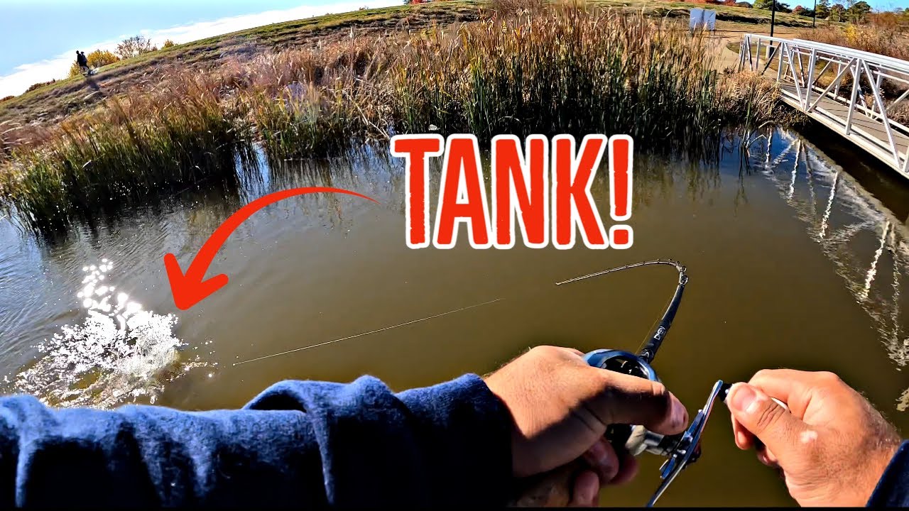 North Texas Bass Fishing! (Denton TX)