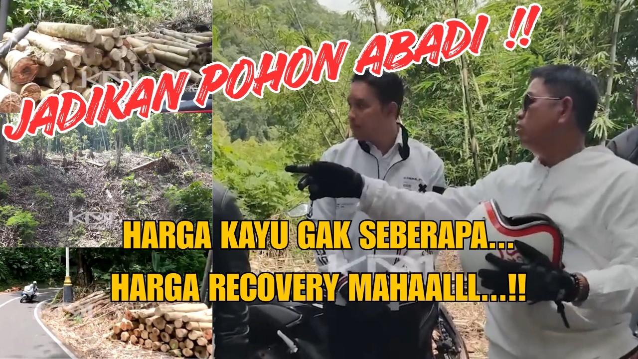 PEMPROV BELI TANAH TEBING CIANJUR, SELAMATKAN POHON & TEBING