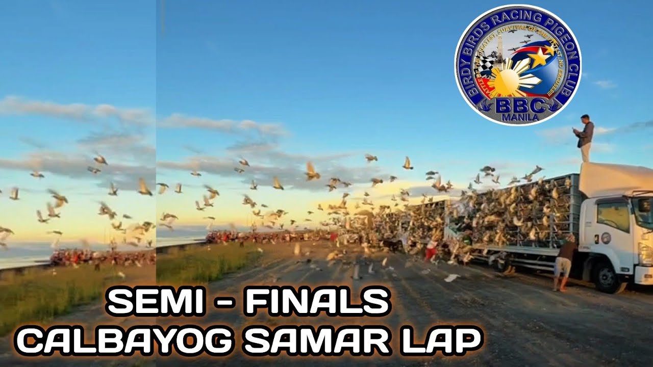CALBAYOG SAMAR LAP.. SEMI FINALS BBC MANILA..🏆
