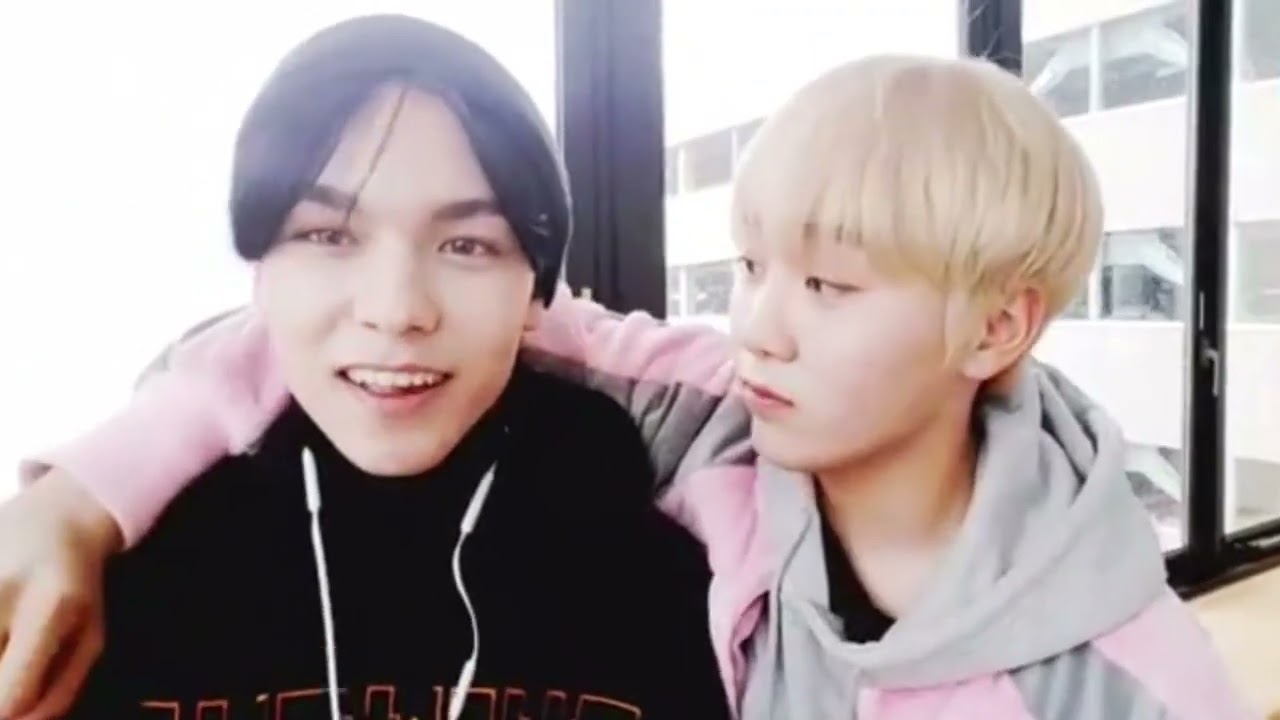 Verkwan live in 2017