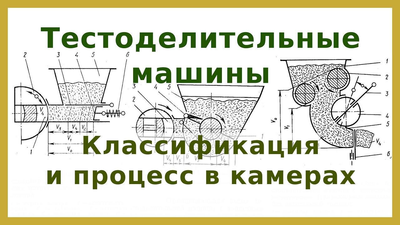 Тестоделители: классификация и процессы в камерах