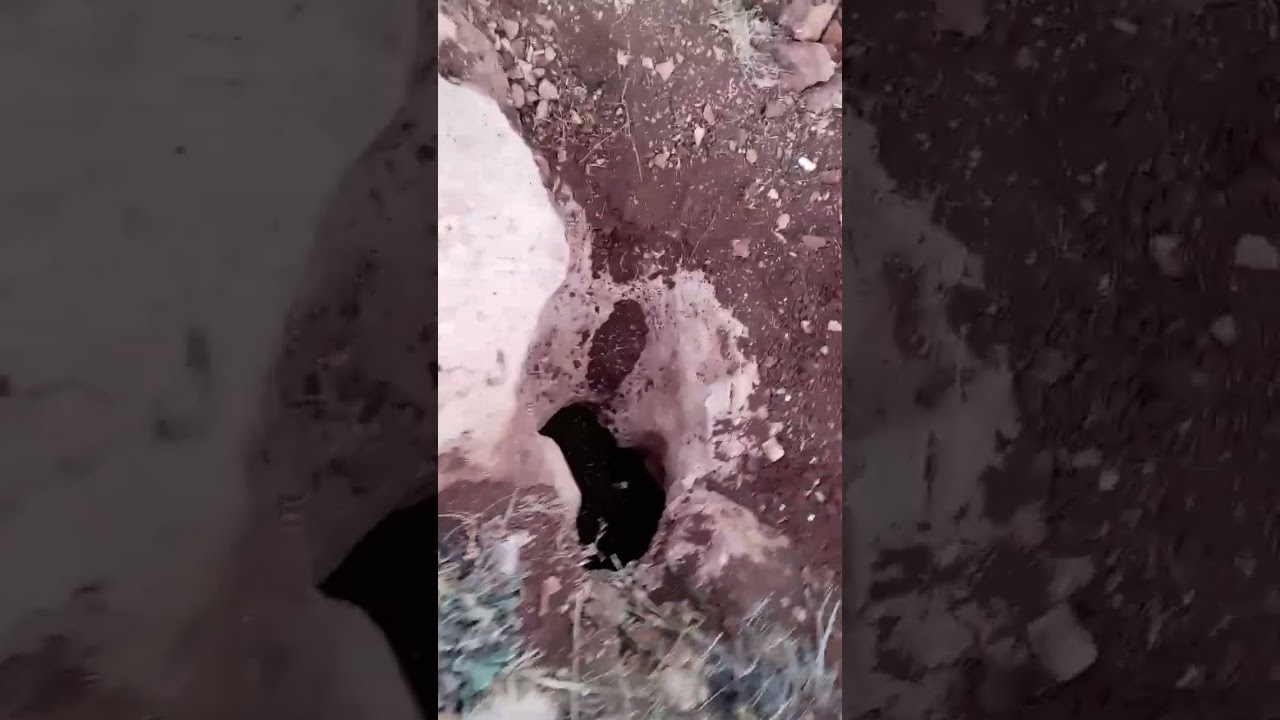 تحليل اشارة الروزنه والفتح بواسطة الاسياخ النحاسيه تفصيل وشرح دقيق تابع للنهايه
