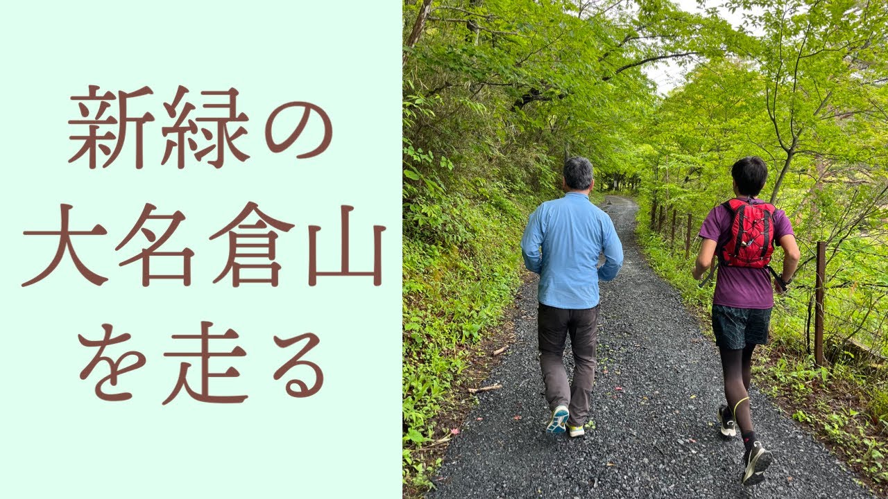 新緑の大名倉山を走る