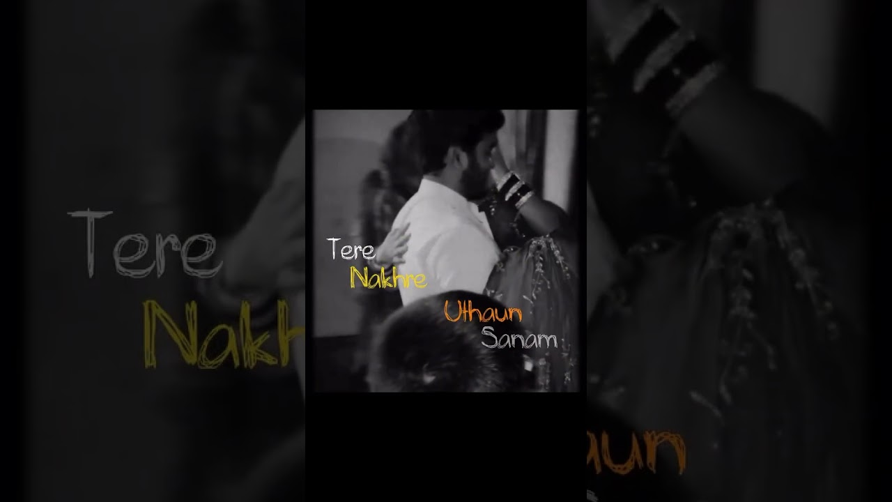 Palat - tera hero idhar hai🤍🌈💫 lofi song status 