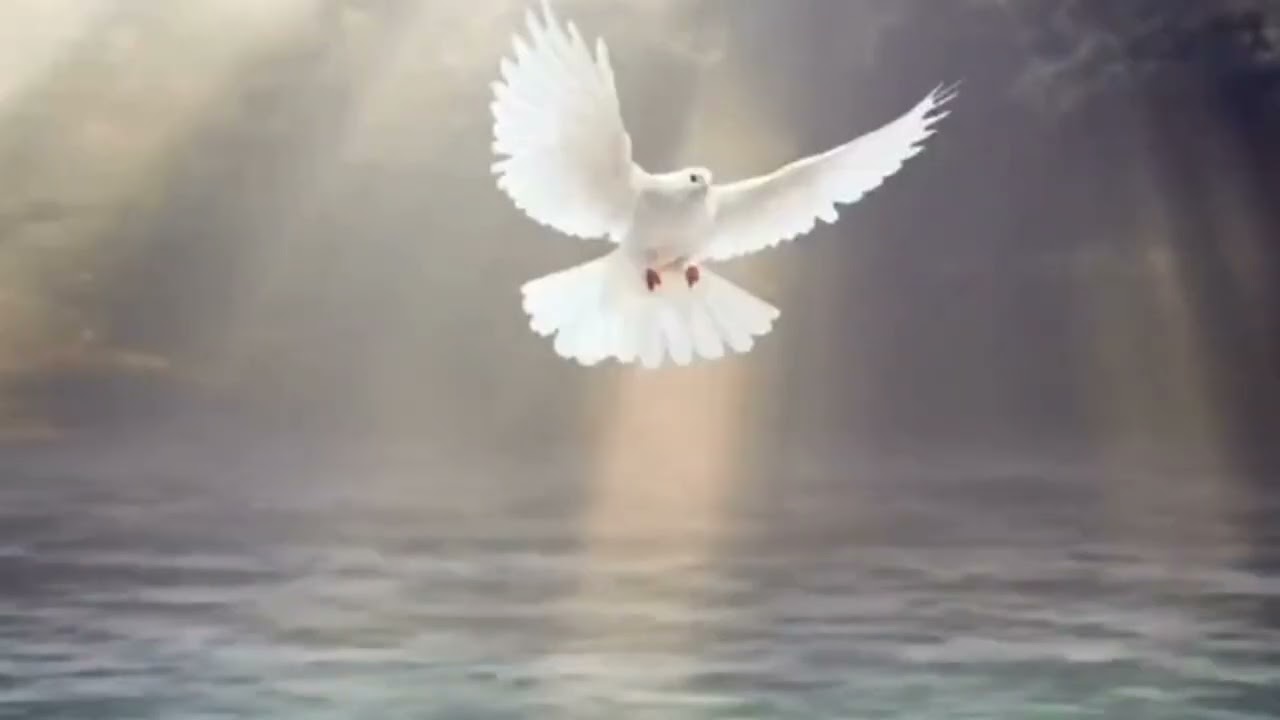 ORACIÓN AL ESPÍRITU SANTO  Miércoles 11 de Marzo de 2026