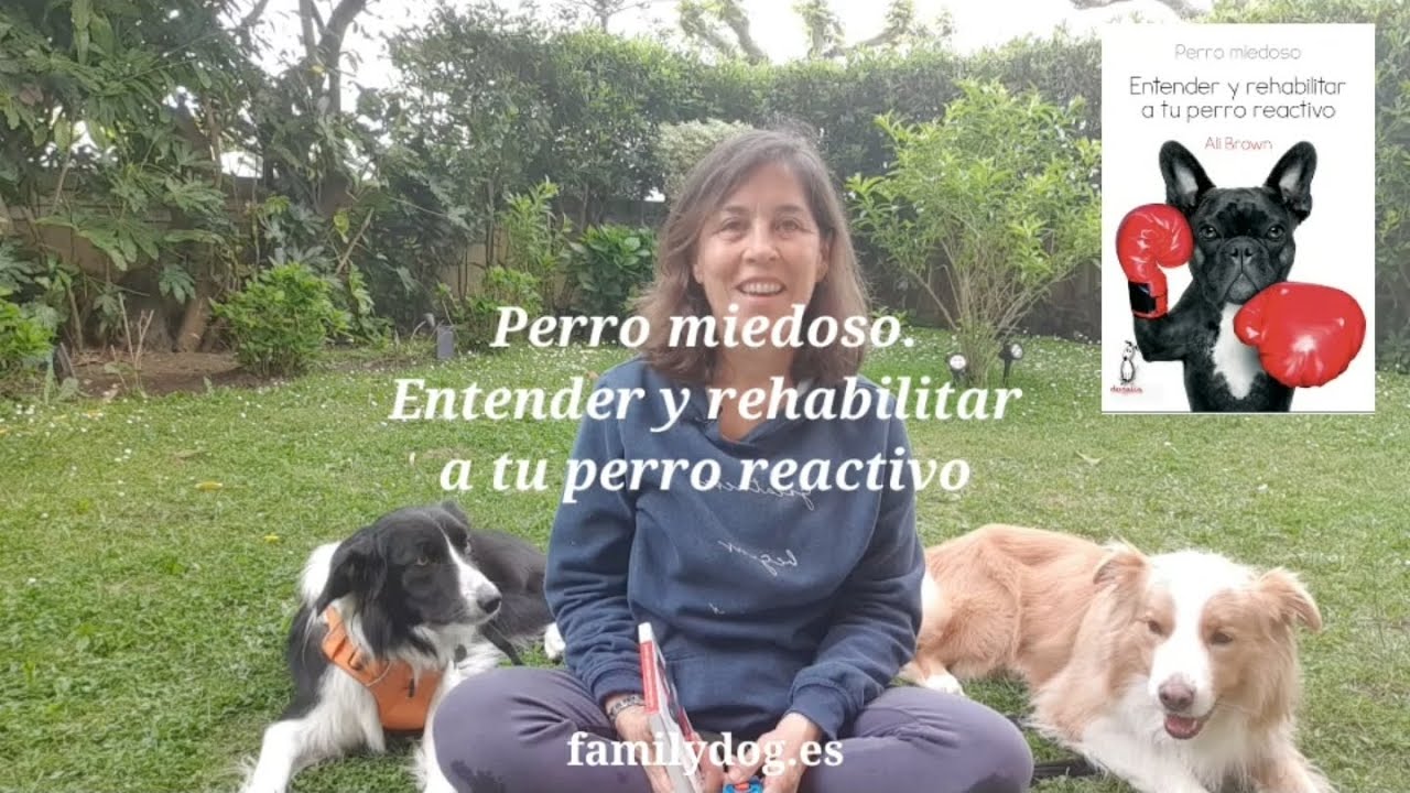 Perro miedoso. Entender y rehabilitar a tu perro reactivo. Autora Ali Brown