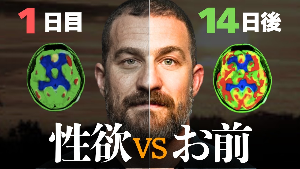 【図解アリ】神経科学者「ポルノ依存が脳を狂わす理由と、沼を抜け出す4つの方法」| アンドリュー・ヒューバーマン / アナ・レンブキー まとめ