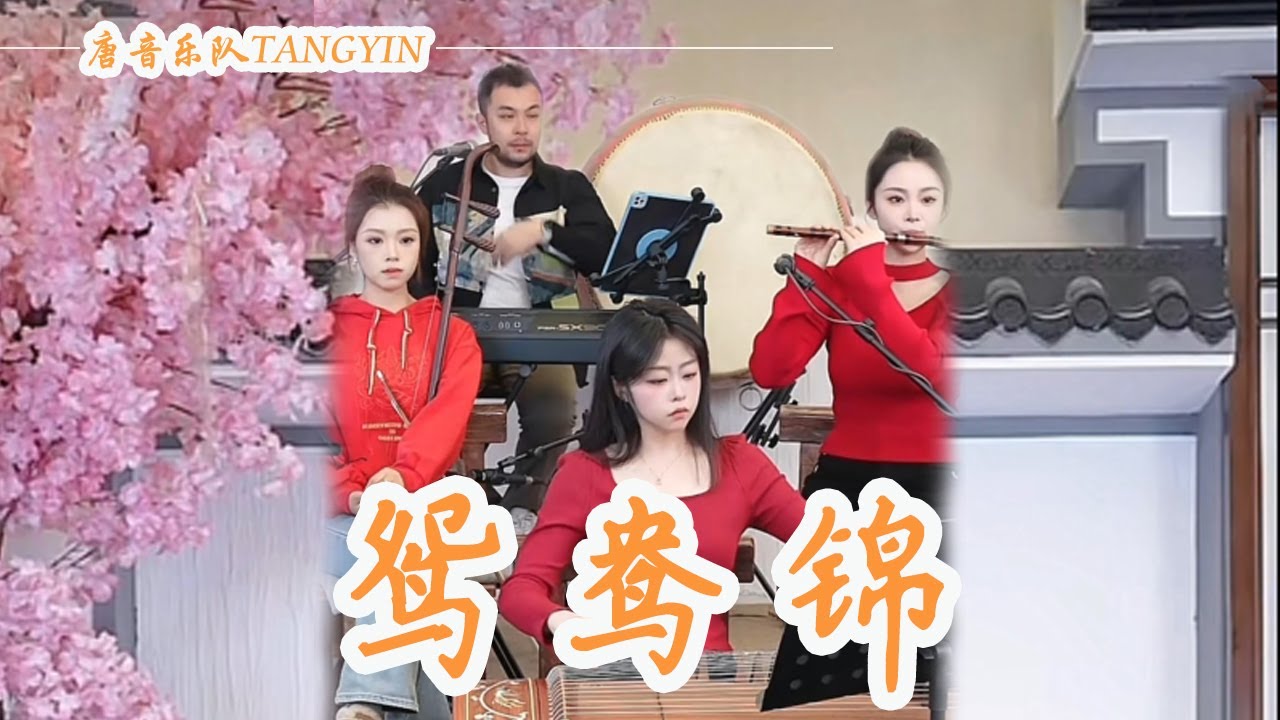 唐音樂隊|cover《鴛鴦錦》葉歡 | 海誓山盟空對月 但願同展鴛鴦錦 | 竹笛Flute 二胡Erhu 古箏Guzheng | Traditional Chinese Music | TANGYIN