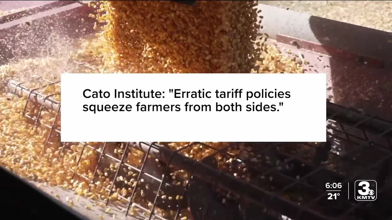 E15 fuel could help struggling Iowa, Nebraska corn farmers