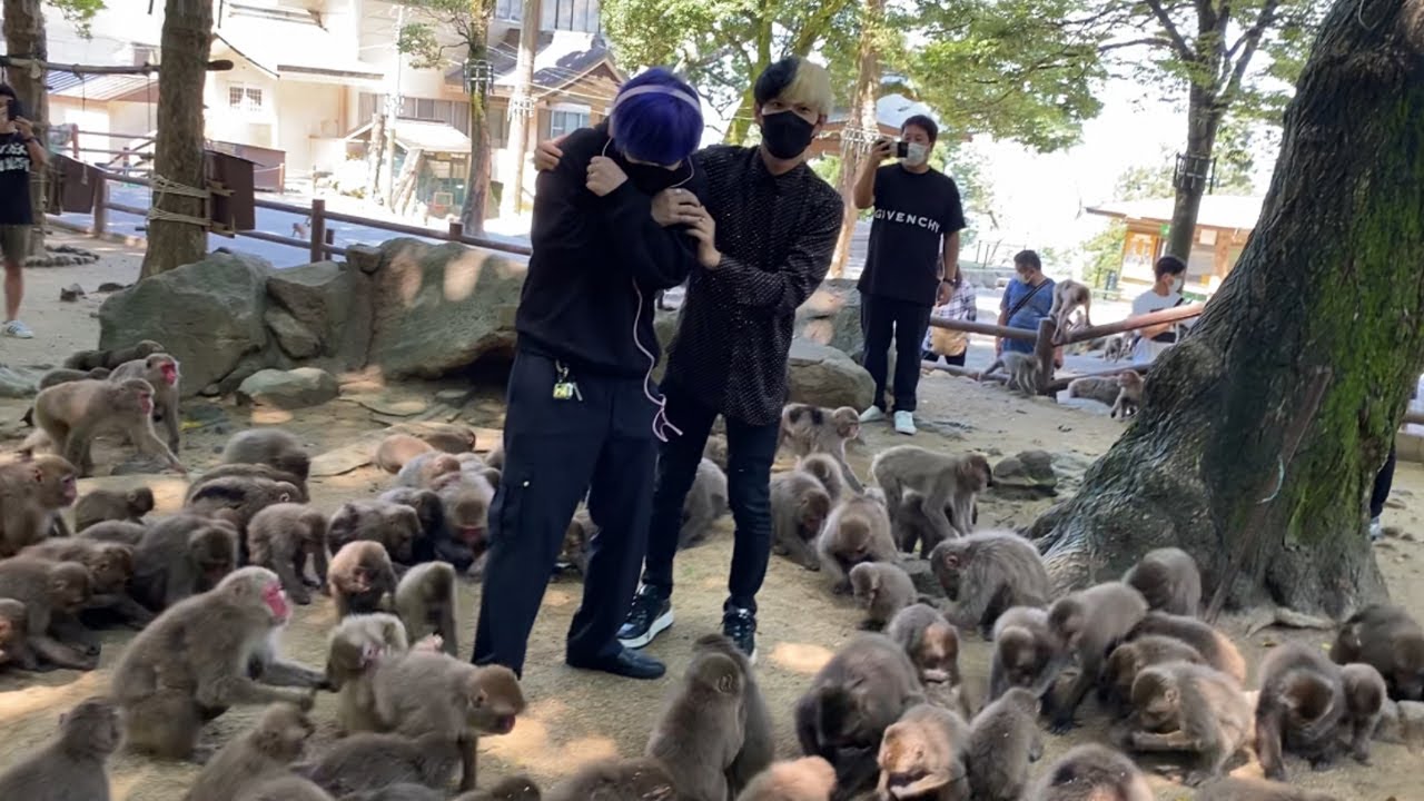 目隠しと耳栓とったら1000匹の猿に囲まれてるドッキリが怖すぎたww
