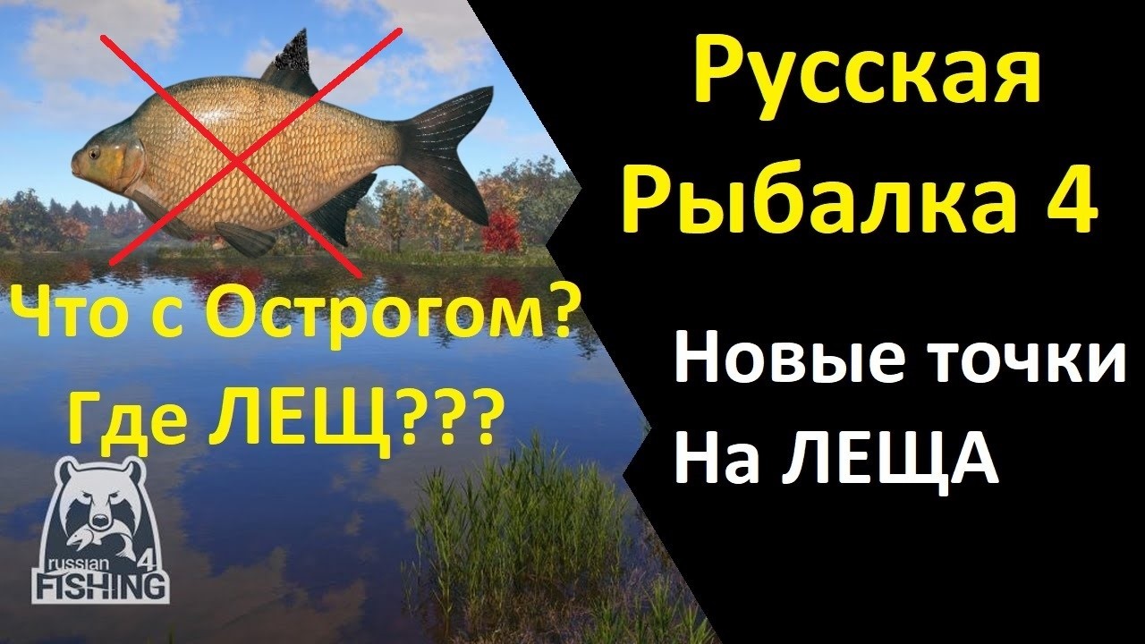 НОВЫЕ ТОЧКИ НА ЛЕЩА РУССКАЯ РЫБАЛКА 4