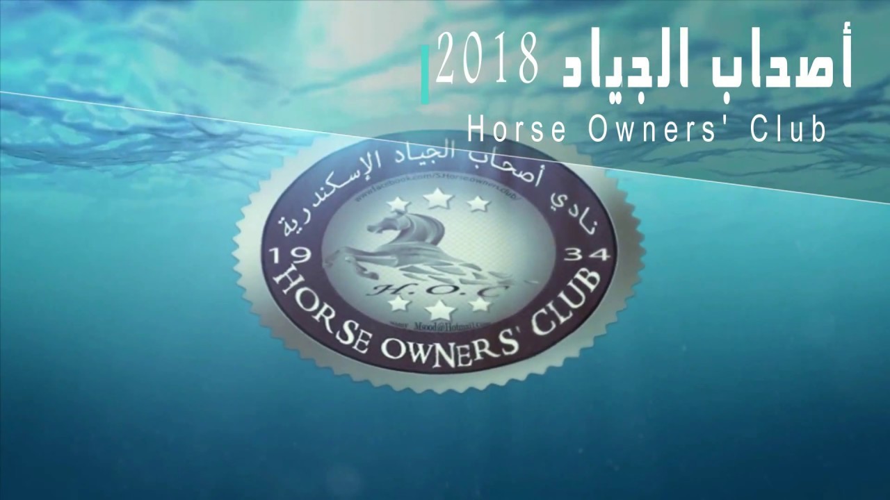 نادى اصحاب الجياد الاسكندرية