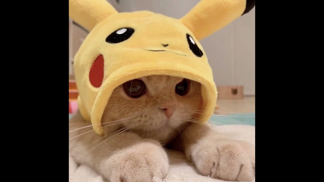 [free] hella sketchy type beat 