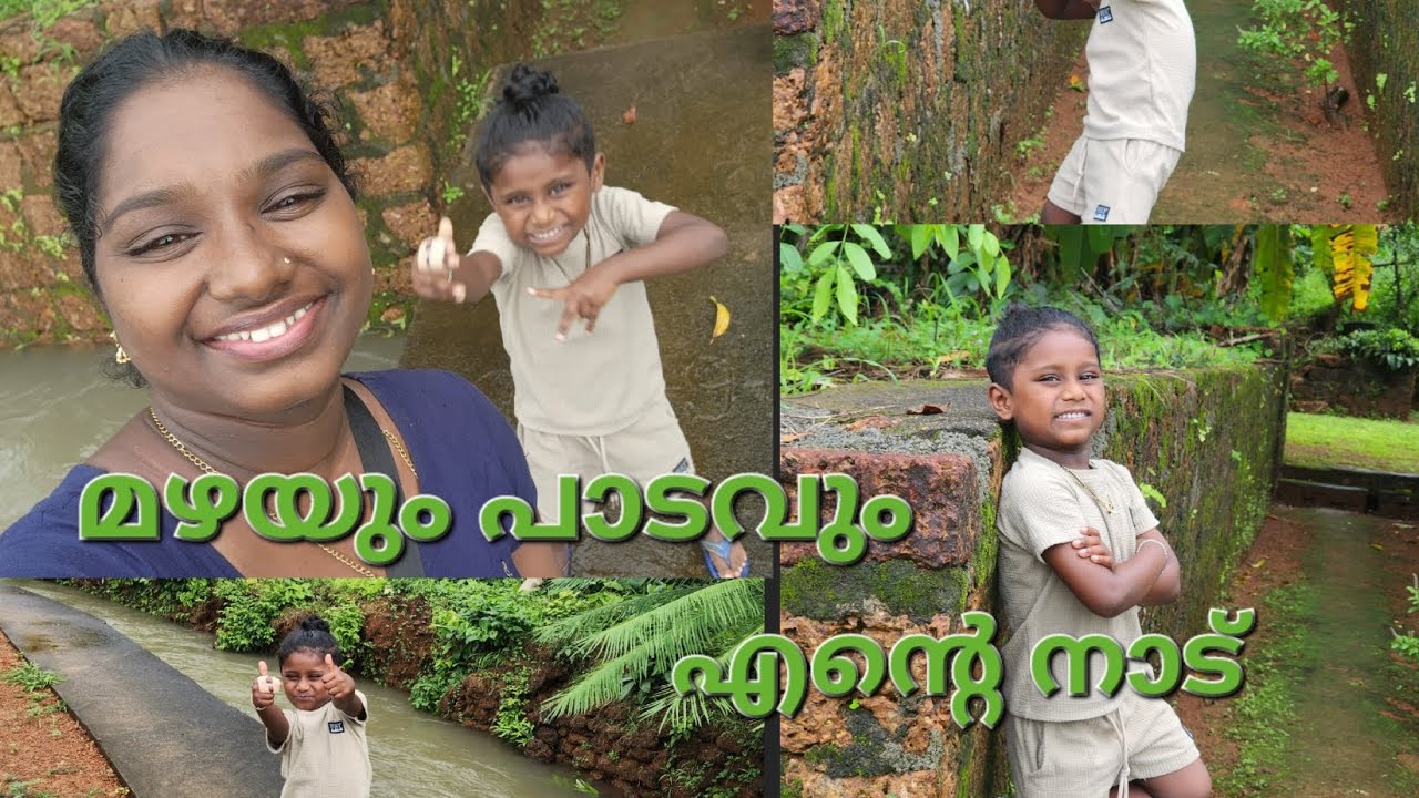 മഴക്കാലത്തെ നാടിന്റെ ഭംഗി #vlog #newvideo #naadu #mazhakkalam #paadam