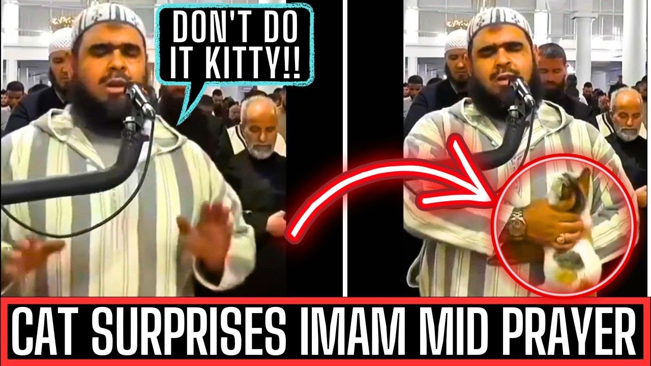 CATS REACTS TO IMAM WHILE RECITING QURAN