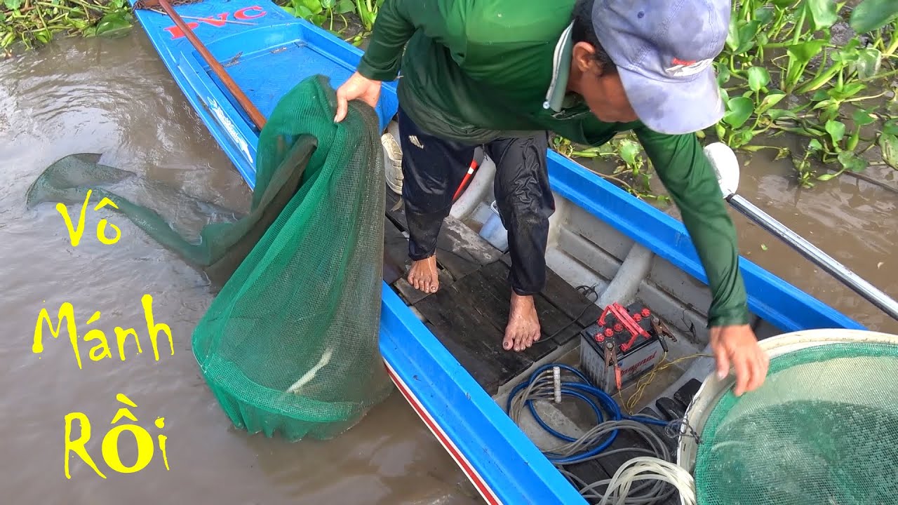 Thăm Dớn Mùa Nước Rút XEM MÊ CẢ MẮT - Cá Trên Ruộng Rút Xuống Sông Chạy Vào Dớn Hết |Đời Sống Dân Dã