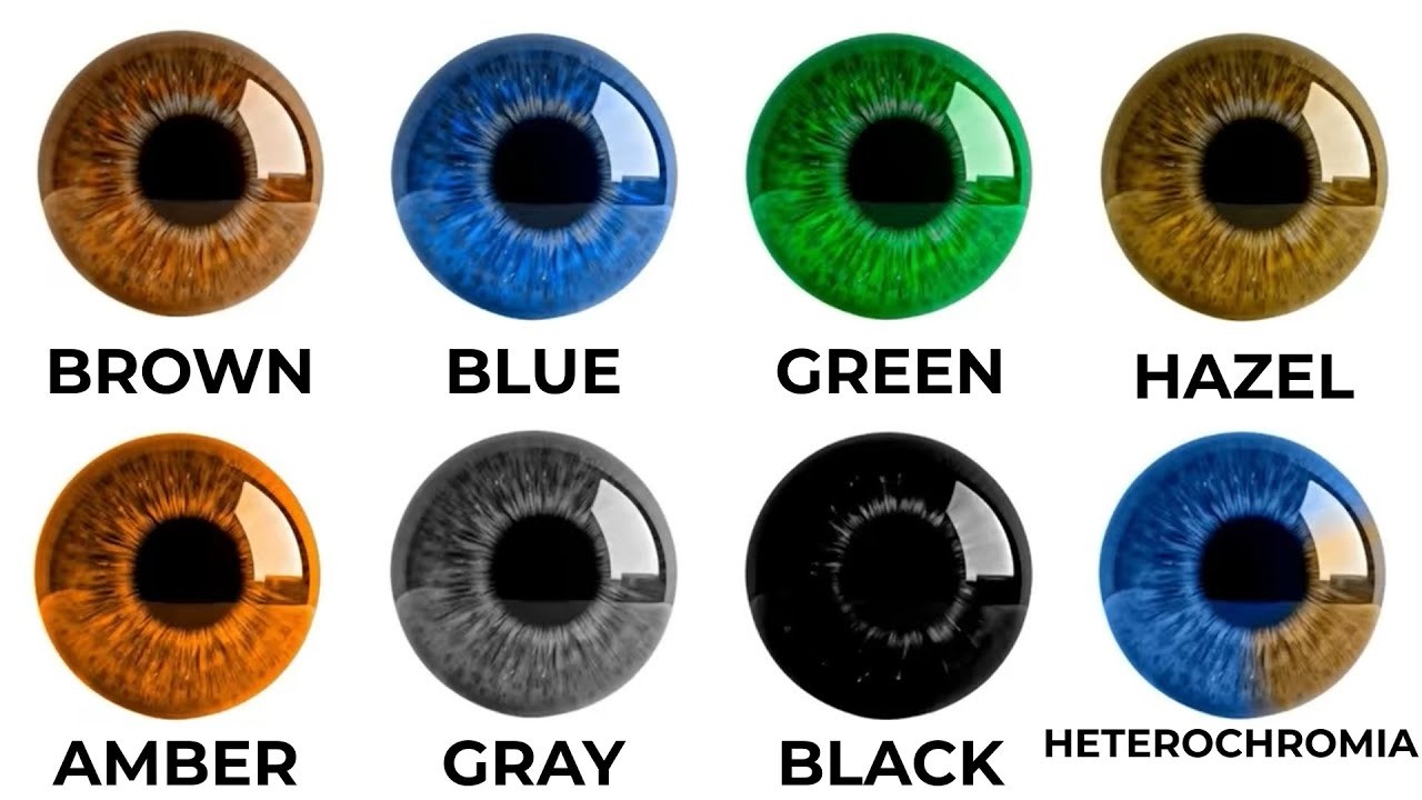 Every Eye Color Has a Hidden Advantage &mdash; Here&rsquo;s Yours
