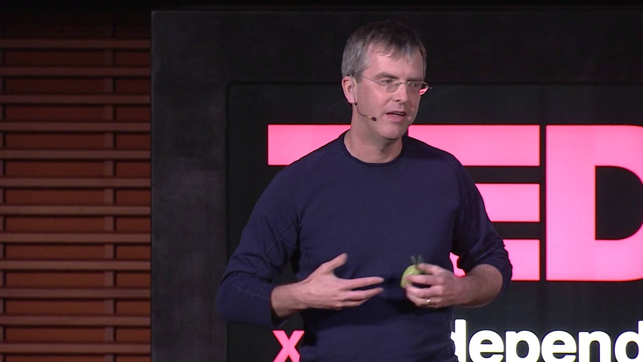 Synthetic biology - what should we be vibrating about?: Drew Endy at TEDxStanford