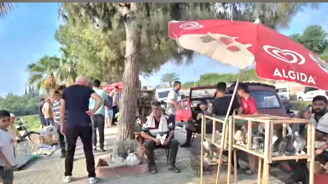 ADANA SEYHAN  KUŞ PAZARI 22.01.2025 #keşfet #adanasokakları #seyhan #kuşpazarı