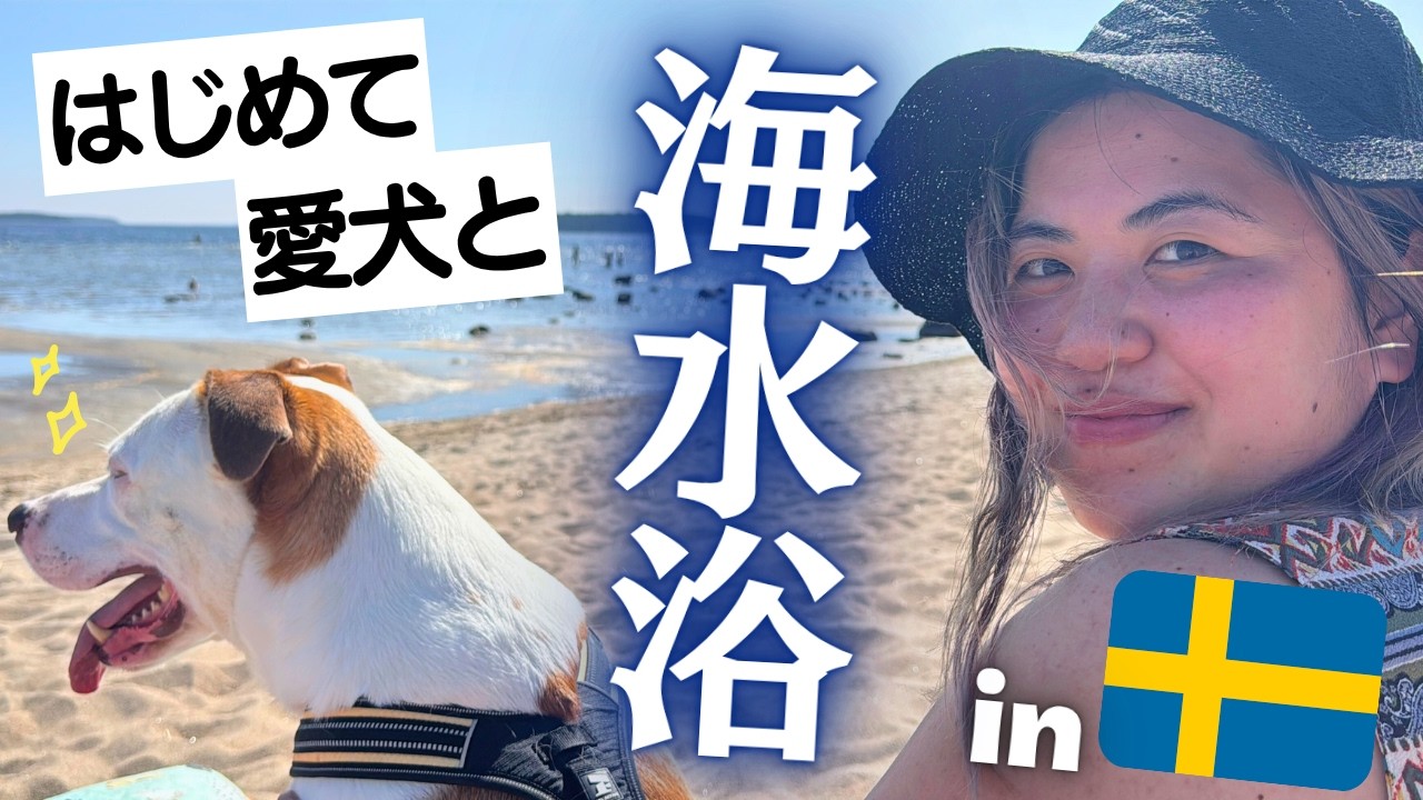 【北欧も猛暑？】愛犬と念願のビーチ🍉臨月妊婦の夏の過ごし方⛱️