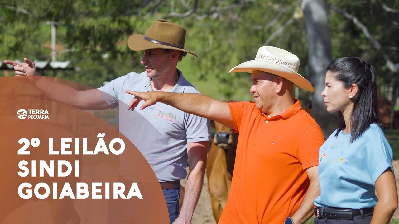 TERRA PECUÁRIA - 2º LEILÃO SINDI GOIABEIRA