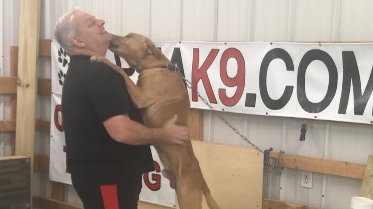 Retired K-9 Turned Over to a Shelter Is Rescued by Former Trainer