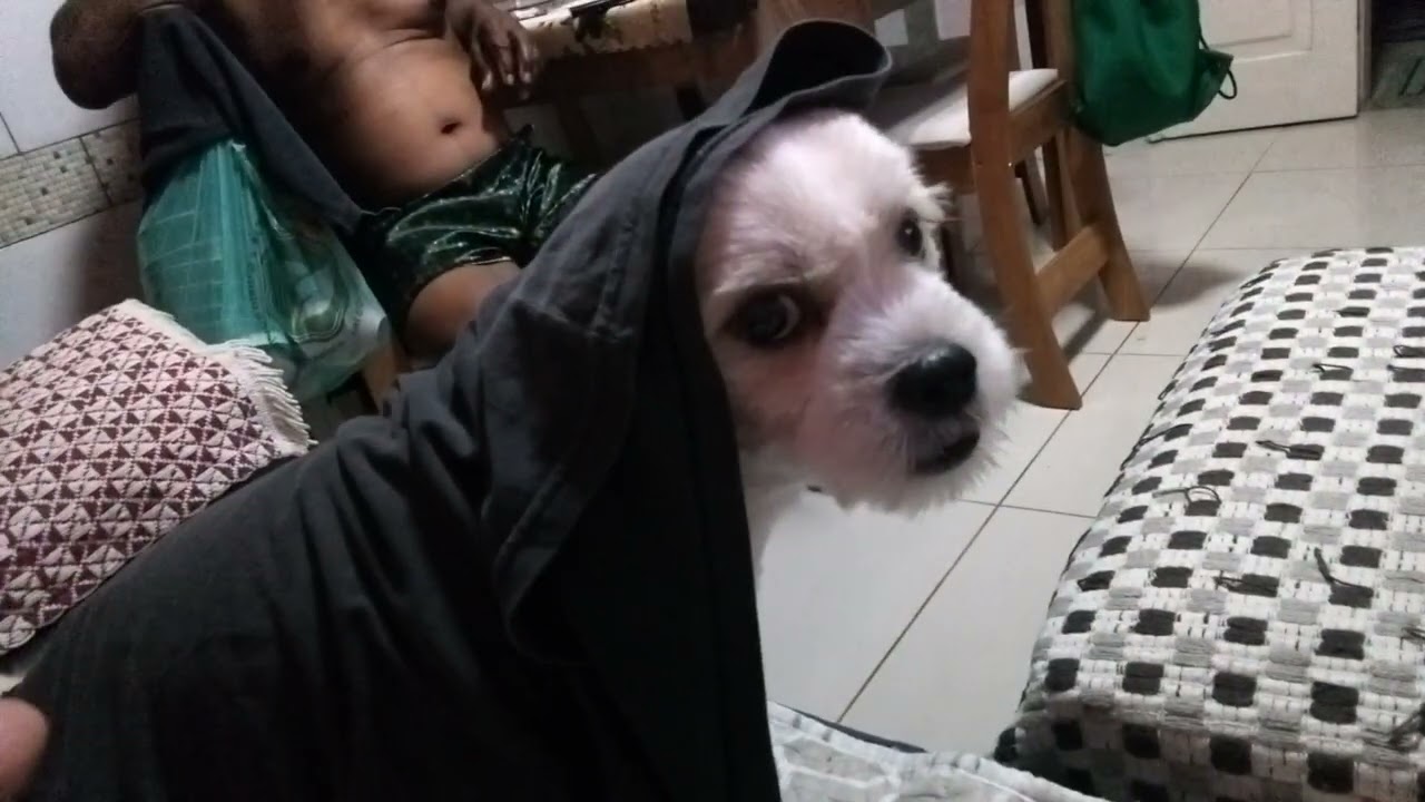 Não tira a camisa do pai kkkkkk