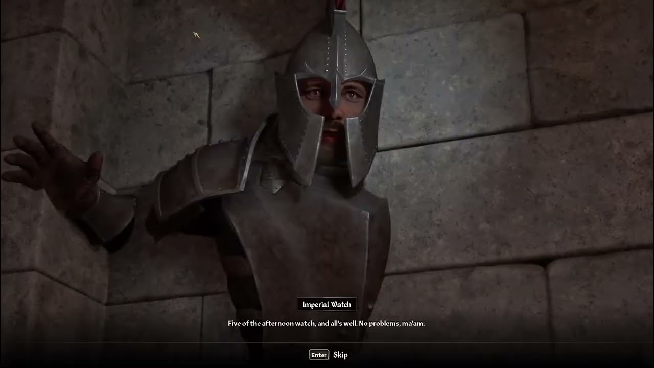 No Problems, Ma'am. (Oblivion Funny Moments)