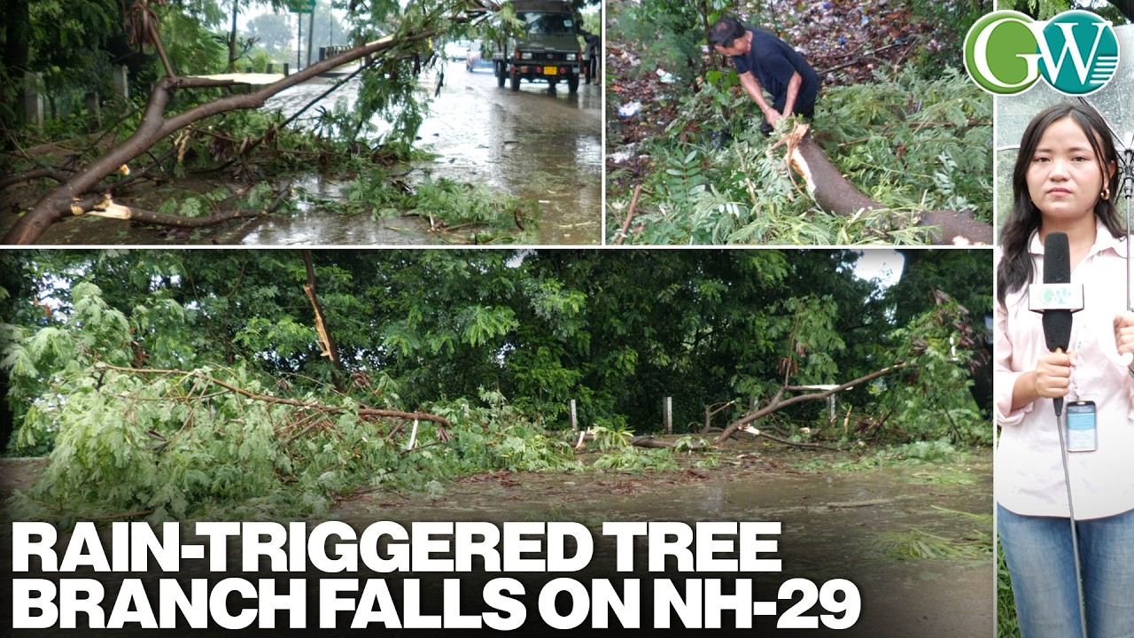 RAIN-TRIGGERED TREE BRANCH FALLS ON NH-29 IN DIMAPUR; TRAFFIC AFFECTED, NO CASUALTIES