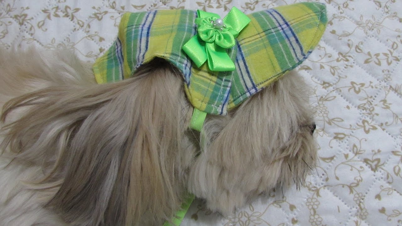 DIY - Como Hacer una Linda Gorrita para tu Mascota.