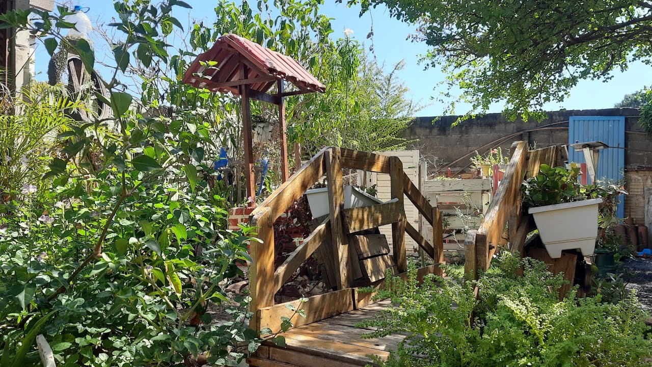 Meu Mundo Verde, ficou lindo novamente!!