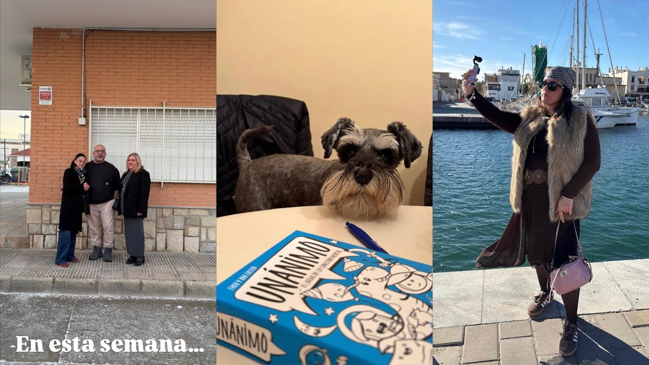 UNA BÚSQUEDA DEL TESORO,SIEMPRE LA MÁS NUNCA LA MENOS (desquiciada), PORFIN VI AVATAR, MUCHO MONEO…