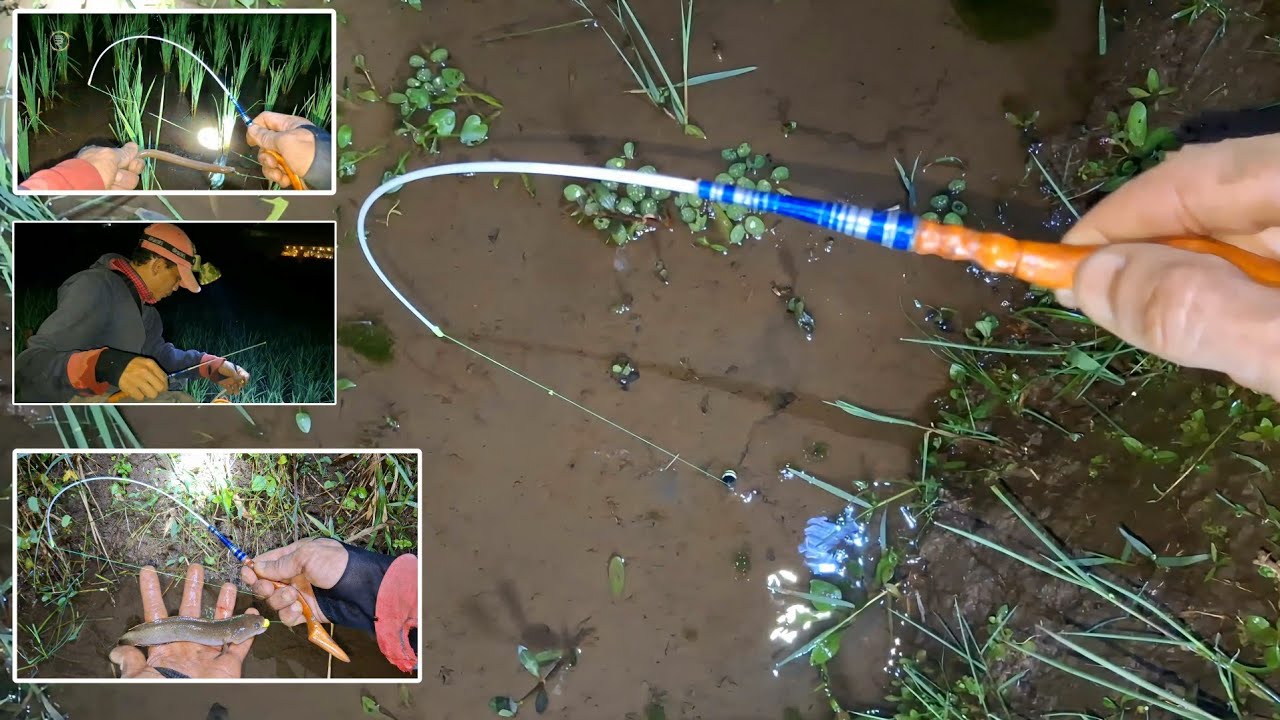 Experiman joran kurcaci !!! mancing belut pake pelampung & snar satu lembar